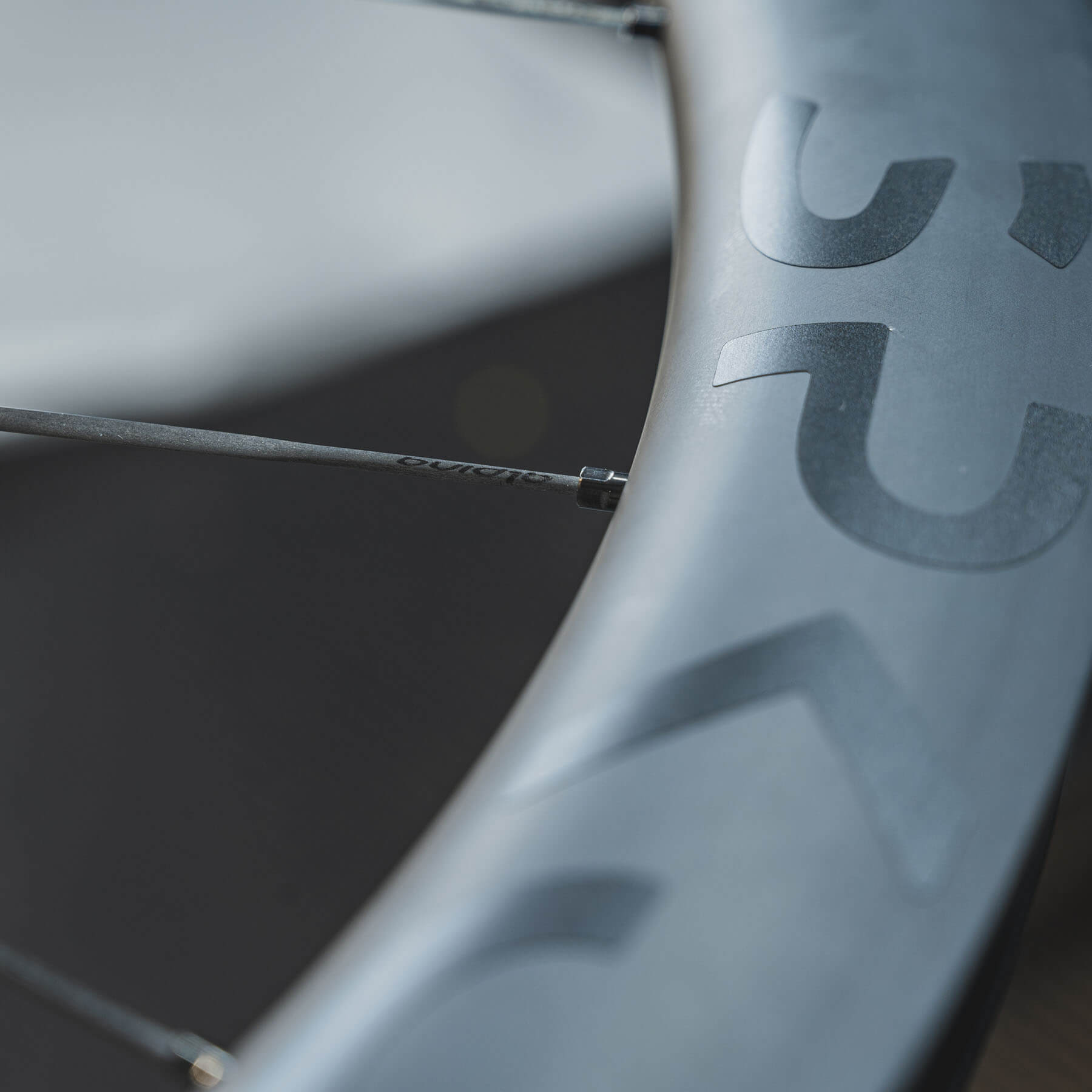 Dark stealth carbon spoke wheelset