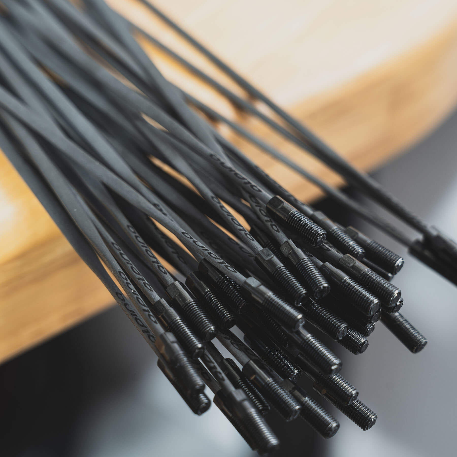 New carbon spokes from Alpina Raggi, italian spoke manufacturer.