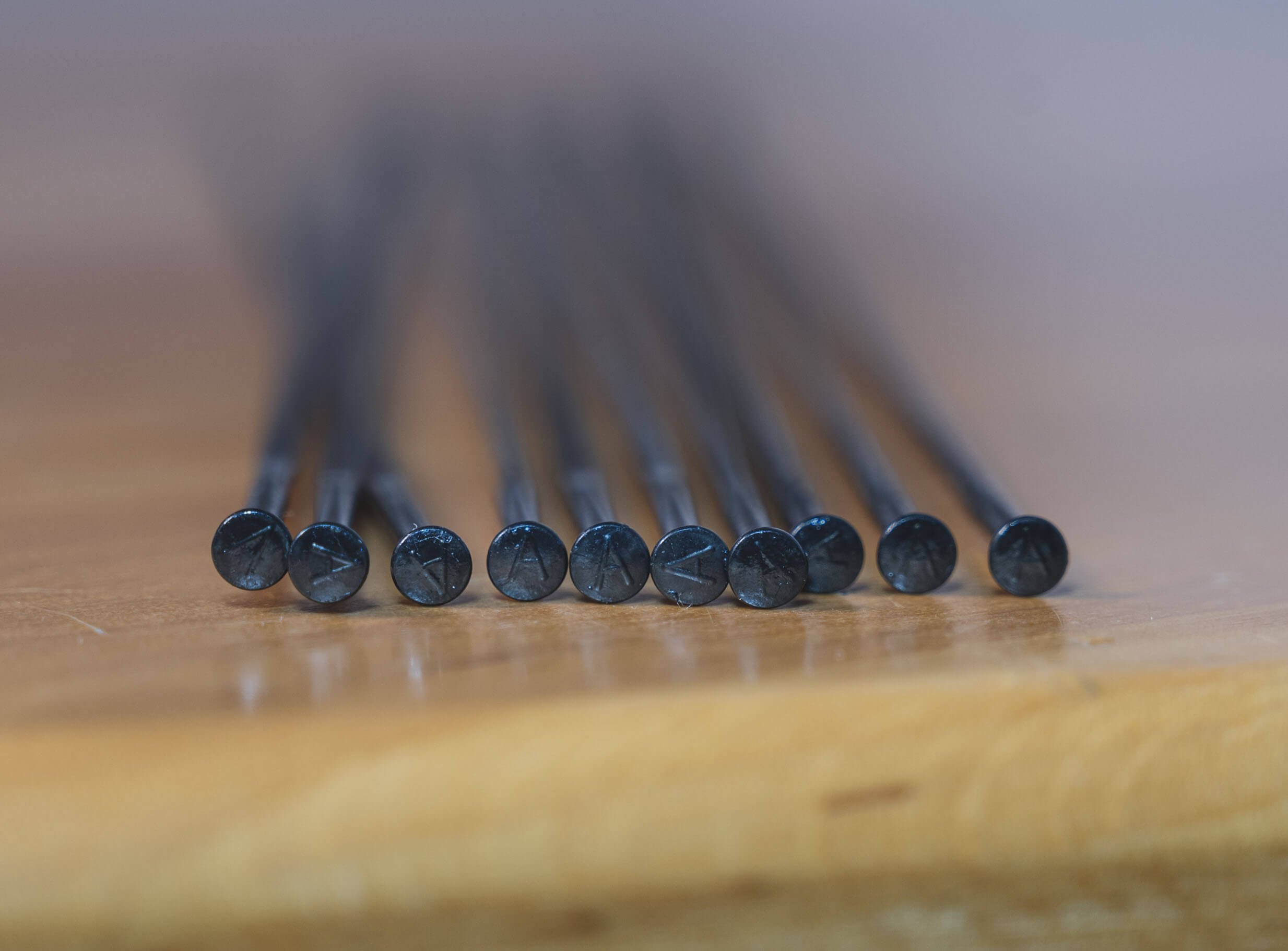 A letter is distinctive feature of Alpina Raggi spokes
