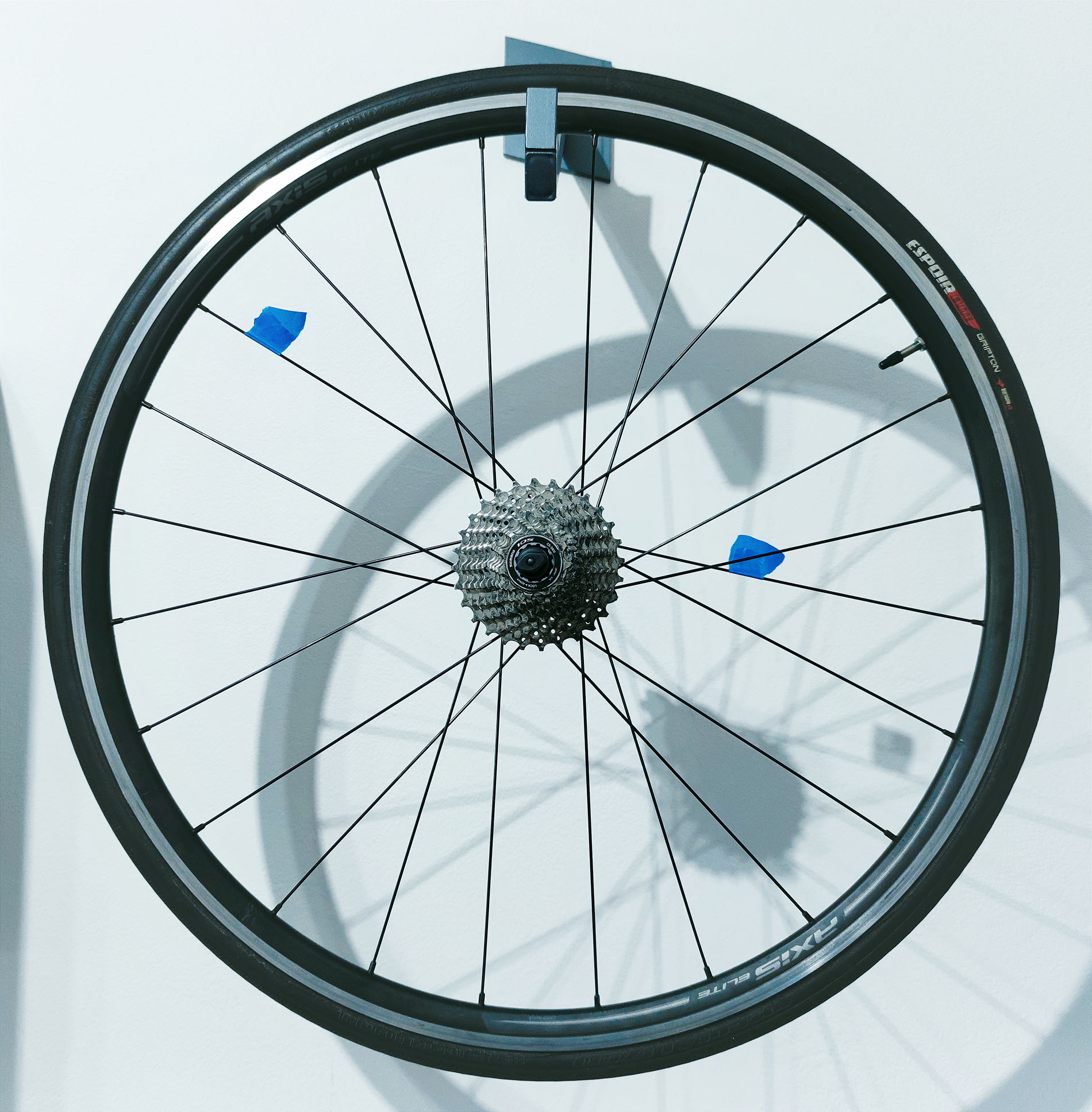 Loose spokes store on bike wheel